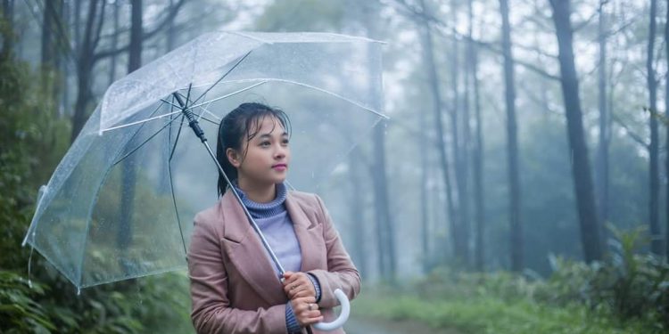 Chia Sẻ Bộ Stock “Con Đường Mưa Gia Lai” RAW Phần Tiếp Theo