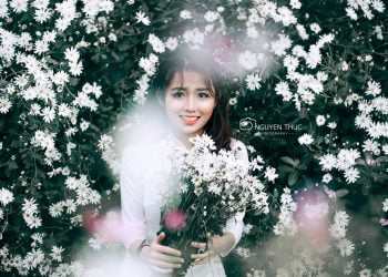 Chia Sẻ Stock “Hoa Cúc Họa Mi” RAW