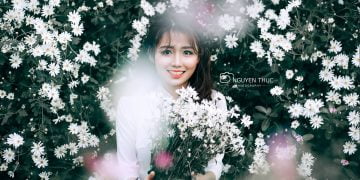 Chia Sẻ Stock “Hoa Cúc Họa Mi” RAW