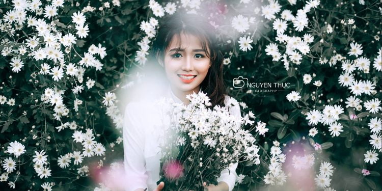 Chia Sẻ Stock “Hoa Cúc Họa Mi” RAW