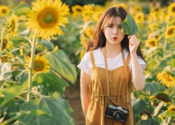 Stock Hoa Hướng Dương RAW