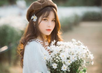 Stock Cúc Ngày Đầy Nắng