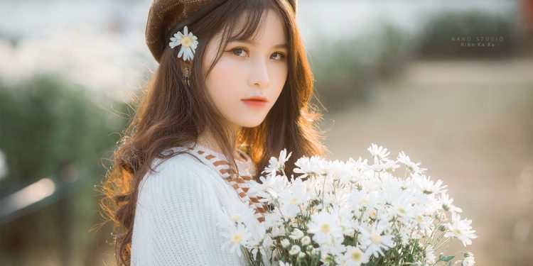 Stock Cúc Ngày Đầy Nắng